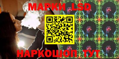 прущие грибы Камышлов