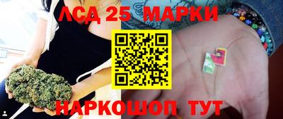 прущие грибы Камышлов