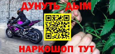 прущие грибы Кандалакша