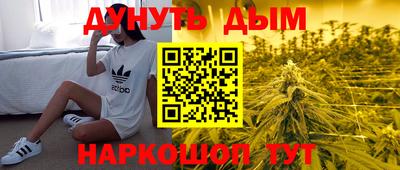 прущие грибы Камышлов
