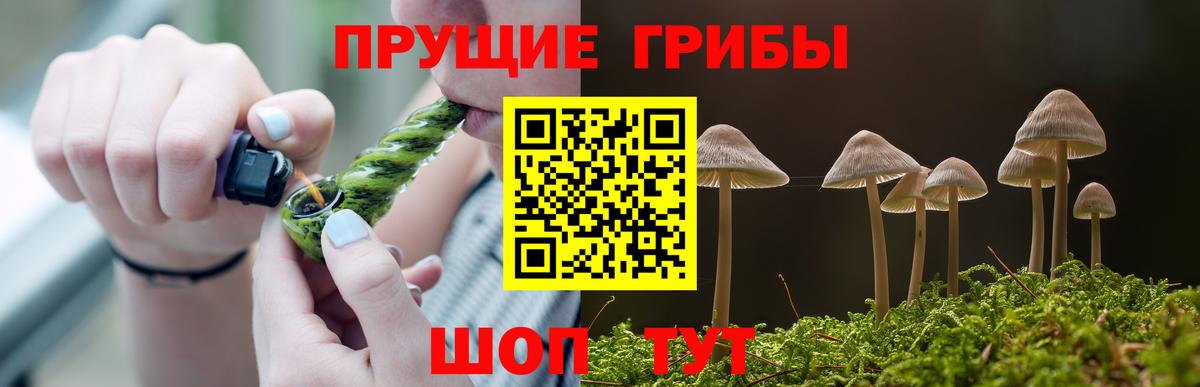 Псилоцибиновые грибы GOLDEN TEACHER  Вход с VPN  Дюртюли 